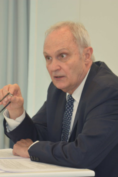 Dominique Bergmann